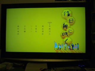 �A�����ɍ炭