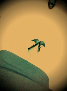 �ށ[