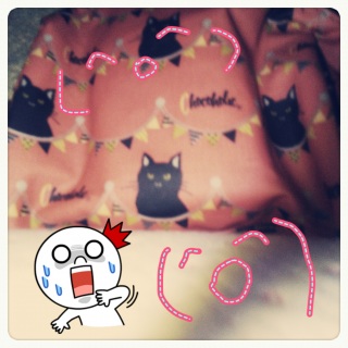 �J�����A�v���͍���