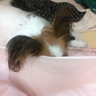 �Ȃɂ��Ă��