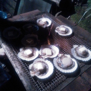 �z�^�e�`�I